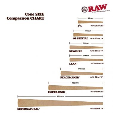 Raw 20 Stage RAWKET Launcher Pre Rolled Cones - Everyday Smoking 