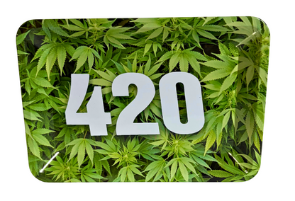 420 Leaf Small Rolling Tray - Everyday Smoking 